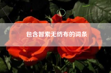 包含智索无纺布的词条