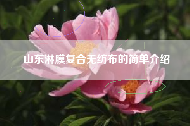 山东淋膜复合无纺布的简单介绍