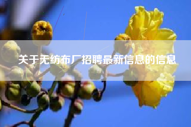 关于无纺布厂招聘最新信息的信息