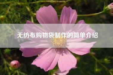 无纺布购物袋制作的简单介绍