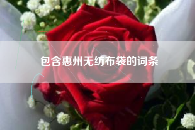 包含惠州无纺布袋的词条
