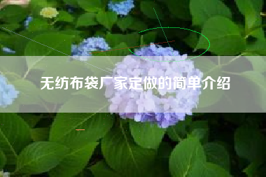 无纺布袋厂家定做的简单介绍