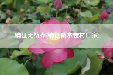 镇江无纺布(镇江防水卷材厂家)