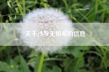 关于沙发无纺布的信息