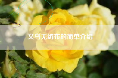 义乌无纺布的简单介绍