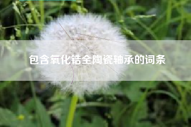 包含氧化锆全陶瓷轴承的词条