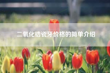 二氧化锆瓷牙价格的简单介绍