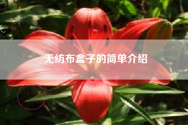 无纺布盒子的简单介绍