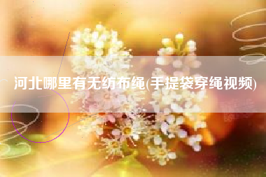 河北哪里有无纺布绳(手提袋穿绳视频)
