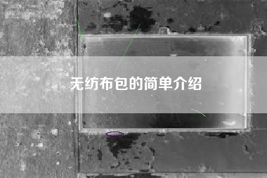 无纺布包的简单介绍