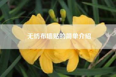 无纺布墙贴的简单介绍