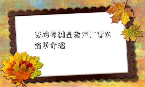 无纺布制品生产厂家的简单介绍
