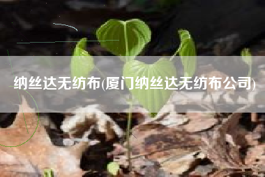 纳丝达<a href='/' target='_blank' title='无纺布' ><strong>无纺布</strong></a>(厦门纳丝达无纺布公司)