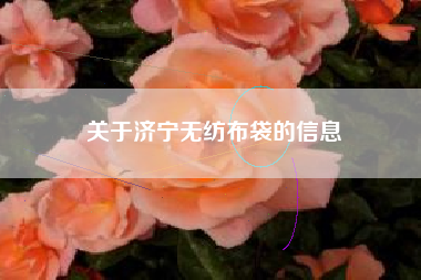 关于济宁无纺布袋的信息