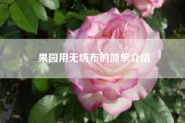 果园用无纺布的简单介绍