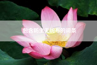 包含防尘无纺布的词条