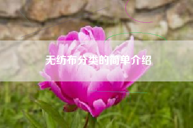 无纺布分类的简单介绍