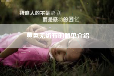 黄色无纺布的简单介绍