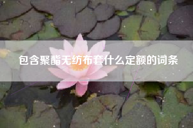 包含聚酯无纺布套什么定额的词条
