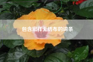 包含宏祥无纺布的词条