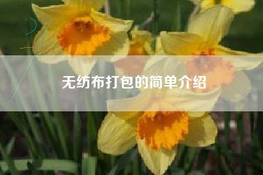 无纺布打包的简单介绍