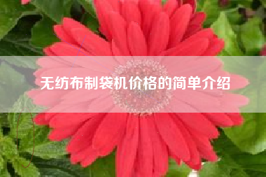 无纺布制袋机价格的简单介绍