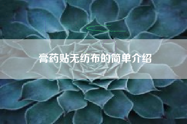 膏药贴无纺布的简单介绍