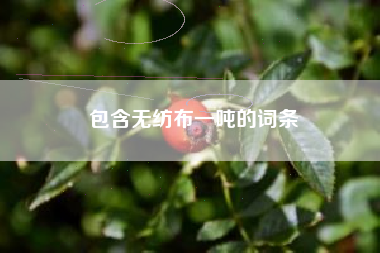 包含无纺布一吨的词条
