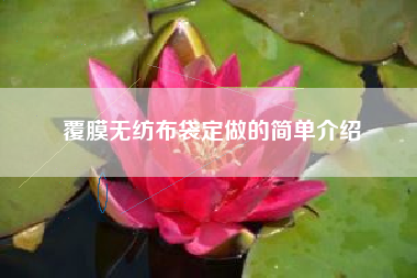 覆膜无纺布袋定做的简单介绍