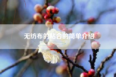 无纺布的粘合的简单介绍