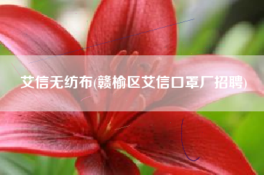 艾信无纺布(赣榆区艾信口罩厂招聘)