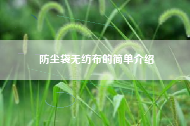 防尘袋无纺布的简单介绍