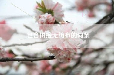 包含拼接无纺布的词条