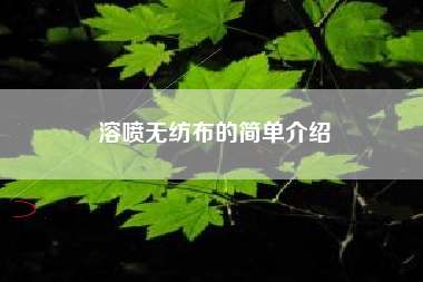 溶喷无纺布的简单介绍