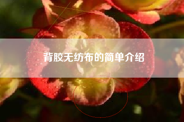 背胶无纺布的简单介绍