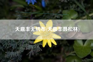 天鼎丰无纺布(天鼎丰聂松林)
