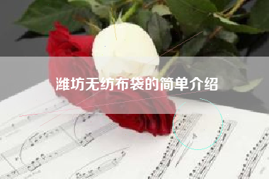 潍坊无纺布袋的简单介绍