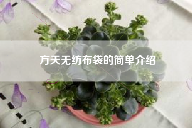 方天无纺布袋的简单介绍