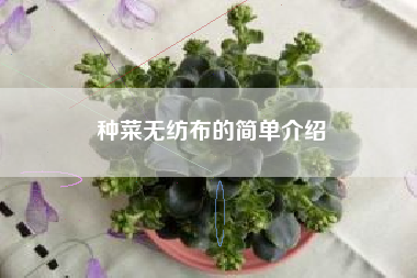 种菜无纺布的简单介绍