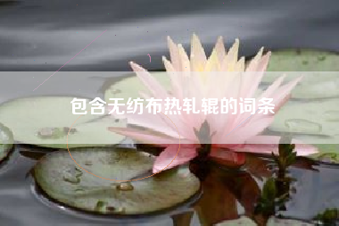 包含无纺布热轧辊的词条