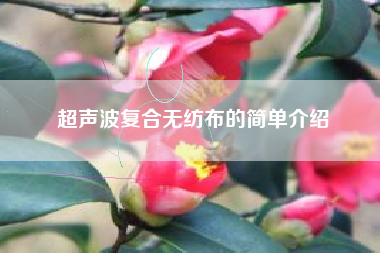 超声波复合无纺布的简单介绍