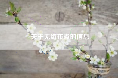 关于无纺布煮的信息