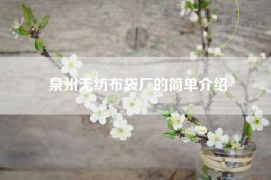 泉州无纺布袋厂的简单介绍