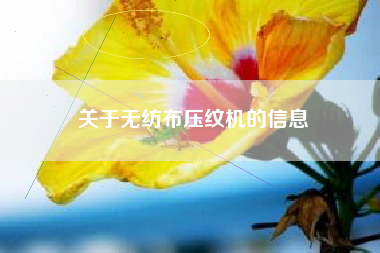 关于无纺布压纹机的信息