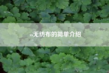 ss无纺布的简单介绍