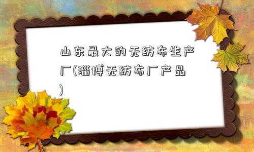 山东更大的无纺布生产厂(淄博无纺布厂产品)