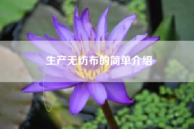 生产无纺布的简单介绍