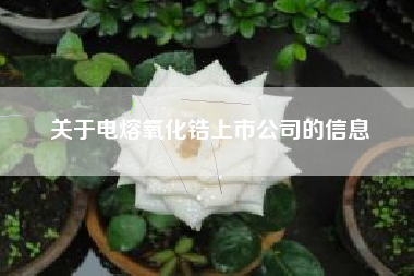关于电熔氧化锆上市公司的信息