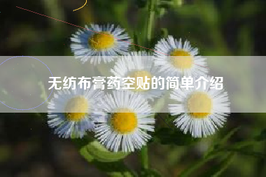 无纺布膏药空贴的简单介绍