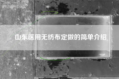山东医用无纺布定做的简单介绍